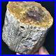 2245G_Natural_Petrified_Wood_Fossil_Crystal_Polished_Slice_Madagascar_A11130_01_oz