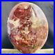 2263g_Natural_Red_Petrified_Wood_Fossil_Crystal_Specimens_Stone_Reiki_Healing_01_fkwn