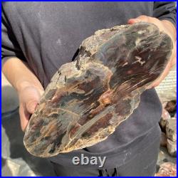 22.2LB Natural petrified wood rough Wood fossil mineral specimen healing energy