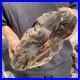 22_2LB_Natural_petrified_wood_rough_Wood_fossil_mineral_specimen_healing_energy_01_wsf