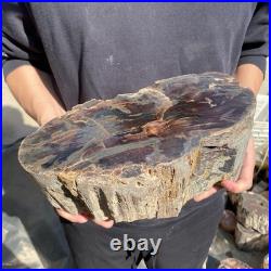 22.2LB Natural petrified wood rough Wood fossil mineral specimen healing energy