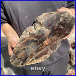 22.2LB Natural petrified wood rough Wood fossil mineral specimen healing energy