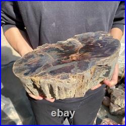 22.2LB Natural petrified wood rough Wood fossil mineral specimen healing energy