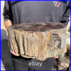 22.2LB Natural petrified wood rough Wood fossil mineral specimen healing energy