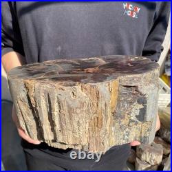 22.2LB Natural petrified wood rough Wood fossil mineral specimen healing energy