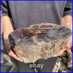 22.2LB Natural petrified wood rough Wood fossil mineral specimen healing energy