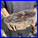22_2lb_Rare_Natural_petrified_wood_rough_Wood_fossil_mineral_specimen_healing_01_cbc