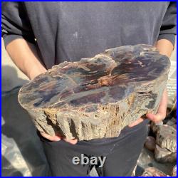 22.2lb Rare Natural petrified wood rough Wood fossil mineral specimen healing 22.2lb Rare Natural petrified wood rough Wood fossil mineral specimen healing