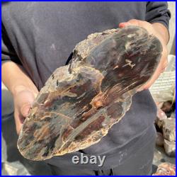 22.2lb Rare Natural petrified wood rough Wood fossil mineral specimen healing 22.2lb Rare Natural petrified wood rough Wood fossil mineral specimen healing