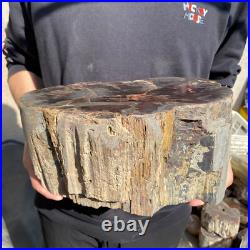 22.2lb Rare Natural petrified wood rough Wood fossil mineral specimen healing 22.2lb Rare Natural petrified wood rough Wood fossil mineral specimen healing