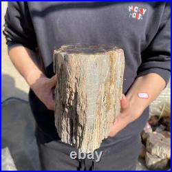 22.2lb Rare Natural petrified wood rough Wood fossil mineral specimen healing 22.2lb Rare Natural petrified wood rough Wood fossil mineral specimen healing