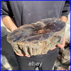 22.2lb Rare Natural petrified wood rough Wood fossil mineral specimen healing 22.2lb Rare Natural petrified wood rough Wood fossil mineral specimen healing