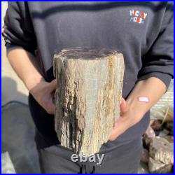22.2lb Rare Natural petrified wood rough Wood fossil mineral specimen healing 22.2lb Rare Natural petrified wood rough Wood fossil mineral specimen healing