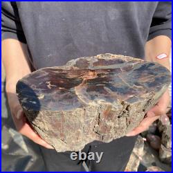 22.2lb Rare Natural petrified wood rough Wood fossil mineral specimen healing 22.2lb Rare Natural petrified wood rough Wood fossil mineral specimen healing