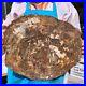 22_44LB_Large_Natural_Petrified_Wood_Crystal_Fossil_Slice_Shape_Specimen_Healing_01_ym