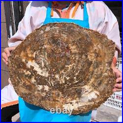 22.44LB Natural Petrified Wood Fossil Crystal Polished Slice- Madagascar