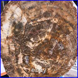 22.44LB Natural Petrified Wood Fossil Crystal Polished Slice- Madagascar