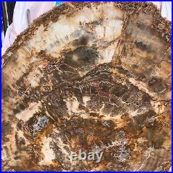 22.44LB Natural Petrified Wood Fossil Crystal Polished Slice- Madagascar