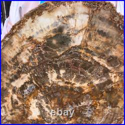 22.44LB Natural Petrified Wood Fossil Crystal Polished Slice- Madagascar