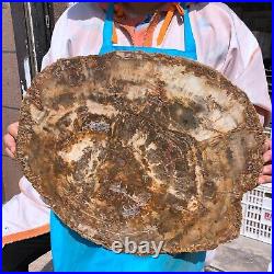 22.44LB Natural Petrified Wood Fossil Crystal Polished Slice- Madagascar