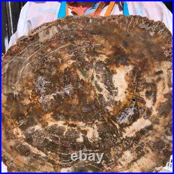 22.44LB Natural Petrified Wood Fossil Crystal Polished Slice- Madagascar