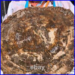 22.44LB Natural Petrified Wood Fossil Crystal Polished Slice- Madagascar