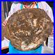 22_44LB_Natural_Petrified_Wood_Slab_Fossilized_Wood_Slice_Crystal_Gem_Specimen_01_dyiy