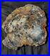 22_5_Gem_Quality_Fossil_Petrified_Wood_Round_Arizona_Chinle_Red_Pink_a2_01_da