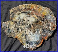 22.5 Gem Quality Fossil Petrified Wood Round Arizona Chinle Red Pink #a2