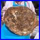 22_66LB_Natural_Petrified_Wood_Fossil_Crystal_Polished_Slice_Madagascar_01_gi
