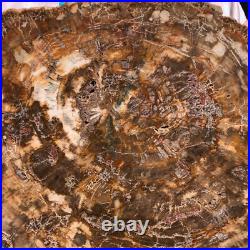 22.66LB Natural Petrified Wood Fossil Crystal Polished Slice- Madagascar 22.66LB Natural Petrified Wood Fossil Crystal Polished Slice- Madagascar