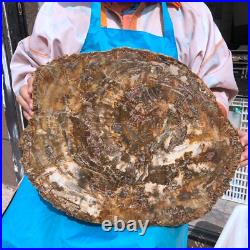 22.66LB Natural Petrified Wood Fossil Crystal Polished Slice- Madagascar 22.66LB Natural Petrified Wood Fossil Crystal Polished Slice- Madagascar