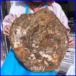 22.66LB Natural Petrified Wood Fossil Crystal Polished Slice- Madagascar 22.66LB Natural Petrified Wood Fossil Crystal Polished Slice- Madagascar