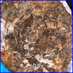 22.66LB Natural Petrified Wood Fossil Crystal Polished Slice- Madagascar 22.66LB Natural Petrified Wood Fossil Crystal Polished Slice- Madagascar