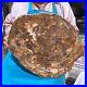 22_66LB_Natural_petrified_wood_fossil_crystal_polished_slice_Madagascar_1983_01_fus