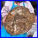 22_66LB_Natural_petrified_wood_fossil_crystal_polished_slice_Madagascar_1983_01_ydco