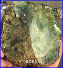 233g Rare Green Petrified Wood Opalized Agate Stone Non Polished Stunning Color