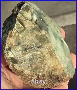 233g Rare Green Petrified Wood Opalized Agate Stone Non Polished Stunning Color