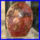 2380g_Natural_Fossil_Petrified_Wood_Polished_Freeform_Crystal_Mineral_Healing_01_nelz