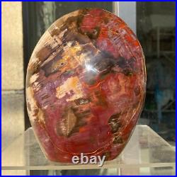 2380g Natural Fossil Petrified Wood Polished Freeform Crystal Mineral Healing