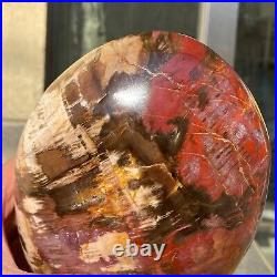 2380g Natural Fossil Petrified Wood Polished Freeform Crystal Mineral Healing