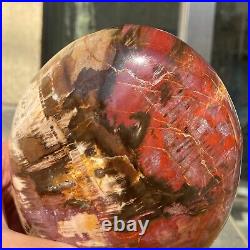 2380g Natural Fossil Petrified Wood Polished Freeform Crystal Mineral Healing