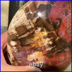 2380g Natural Fossil Petrified Wood Polished Freeform Crystal Mineral Healing