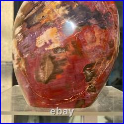 2380g Natural Fossil Petrified Wood Polished Freeform Crystal Mineral Healing