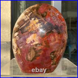 2380g Natural Fossil Petrified Wood Polished Freeform Crystal Mineral Healing