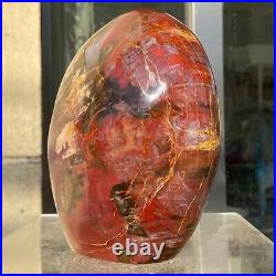 2380g Natural Fossil Petrified Wood Polished Freeform Crystal Mineral Healing