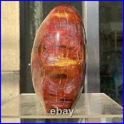 2380g Natural Fossil Petrified Wood Polished Freeform Crystal Mineral Healing