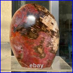 2380g Natural Fossil Petrified Wood Polished Freeform Crystal Mineral Healing
