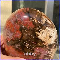 2380g Natural Fossil Petrified Wood Polished Freeform Crystal Mineral Healing