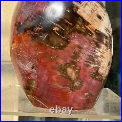 2380g Natural Fossil Petrified Wood Polished Freeform Crystal Mineral Healing